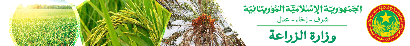 الصورة
